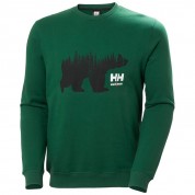 Džemperis HELLY HANSEN Graphic Sweatshirt, žalias M